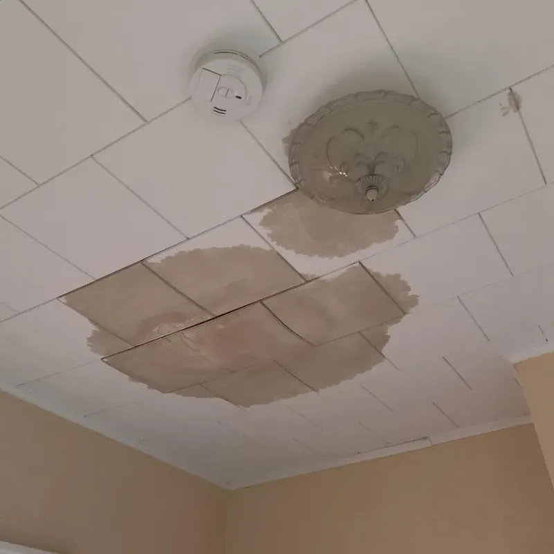 Ceiling Water Damage Repair in Portland, CT