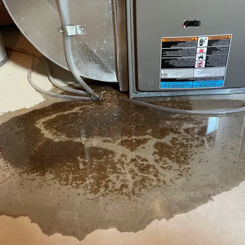 Pipe Burst and Leak Restoration in Portland, CT